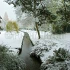 Bournemouth Gardens in winter