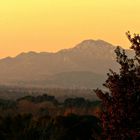 Bout d'an sur les Alpilles