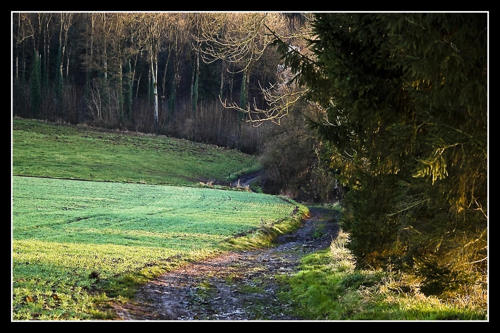 Bout de chemin