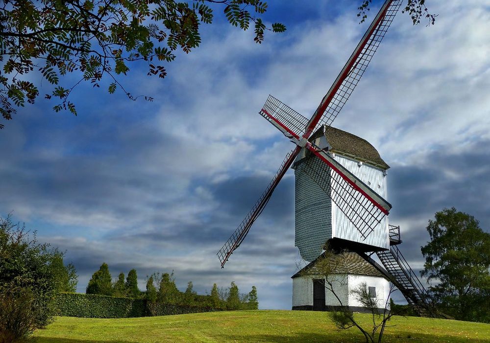 Bouwel mill (Belgium) 