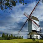 Bouwel mill (Belgium) 