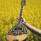 Bouzouki