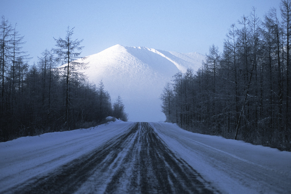 Bovina - Sibir 2008