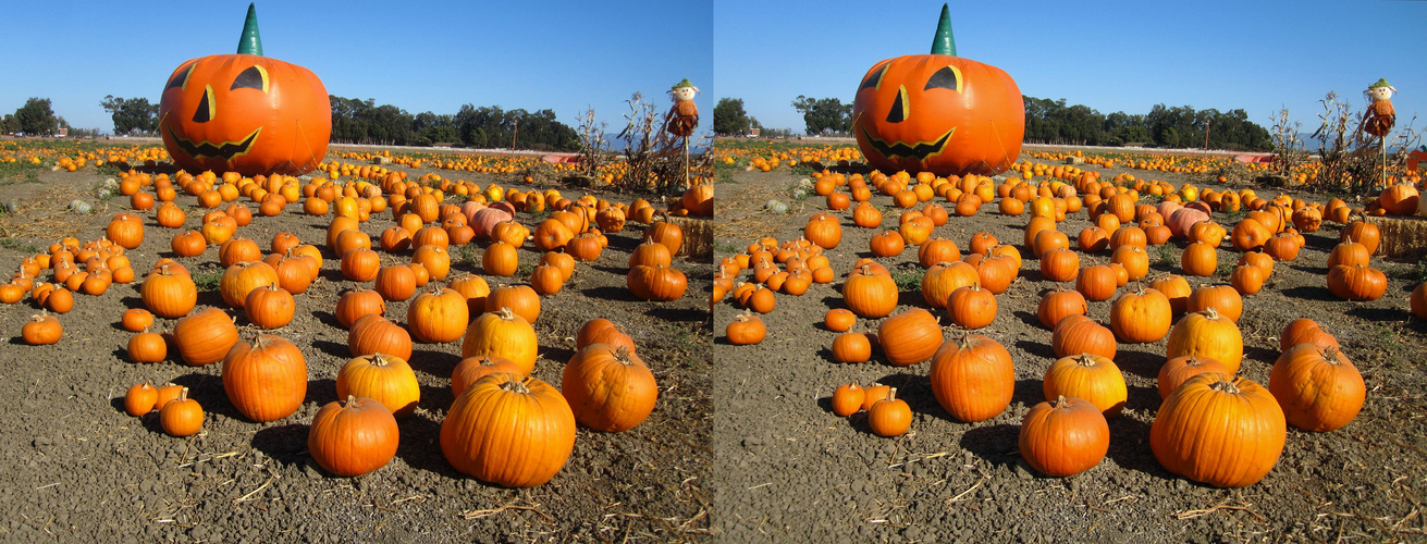 bow before the pumpkinking