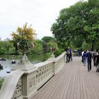 Bow Bridge