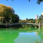 Bow Bridge