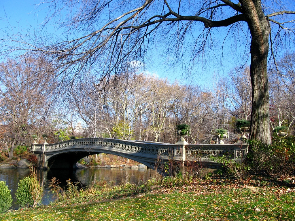 Bow Bridge im Central Park...