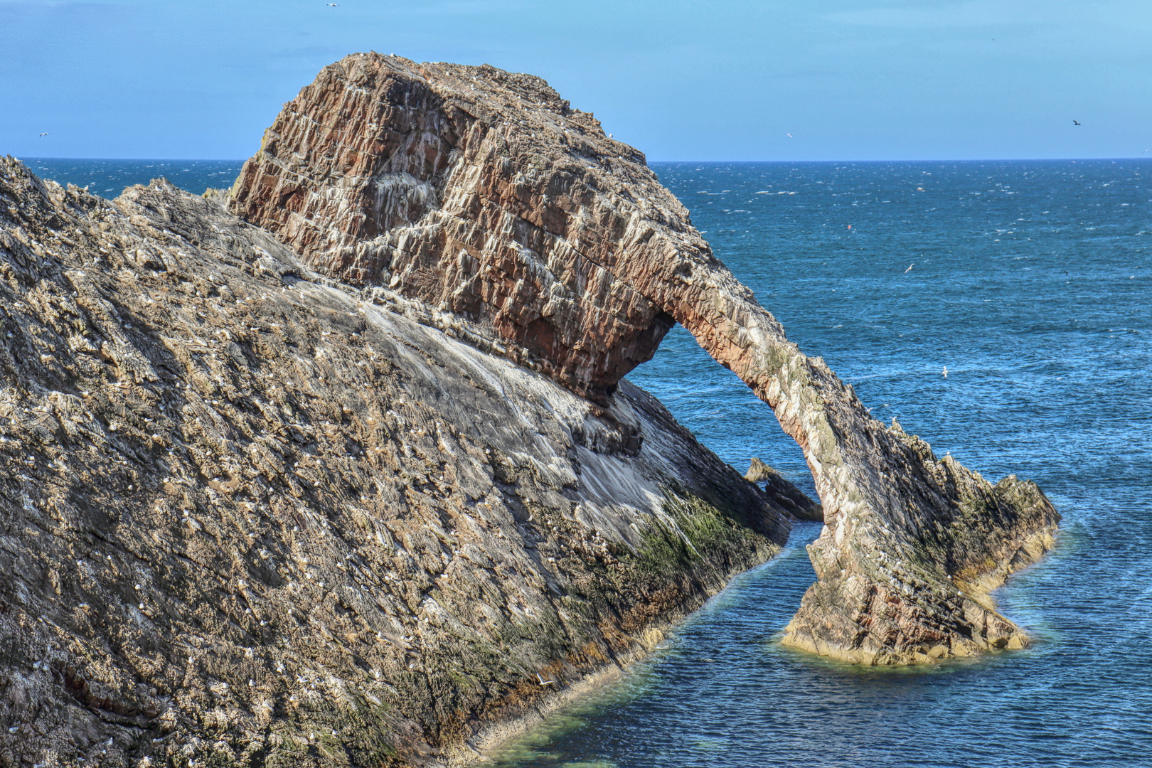 Bow Fiddle Rock