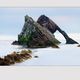 bow fiddle rock #I