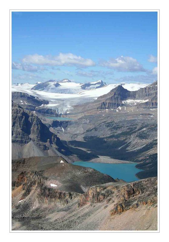 Bow Glacier, Banff N. P.
