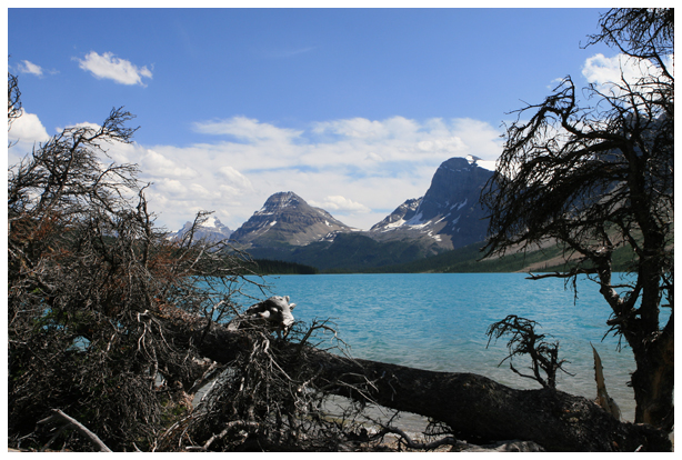 Bow Lake #2