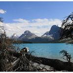 Bow Lake #2