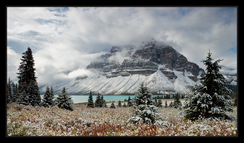 [ Bow Lake ]