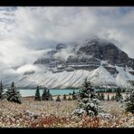 [ Bow Lake ]