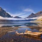 Bow Lake /7/