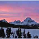 Bow Lake