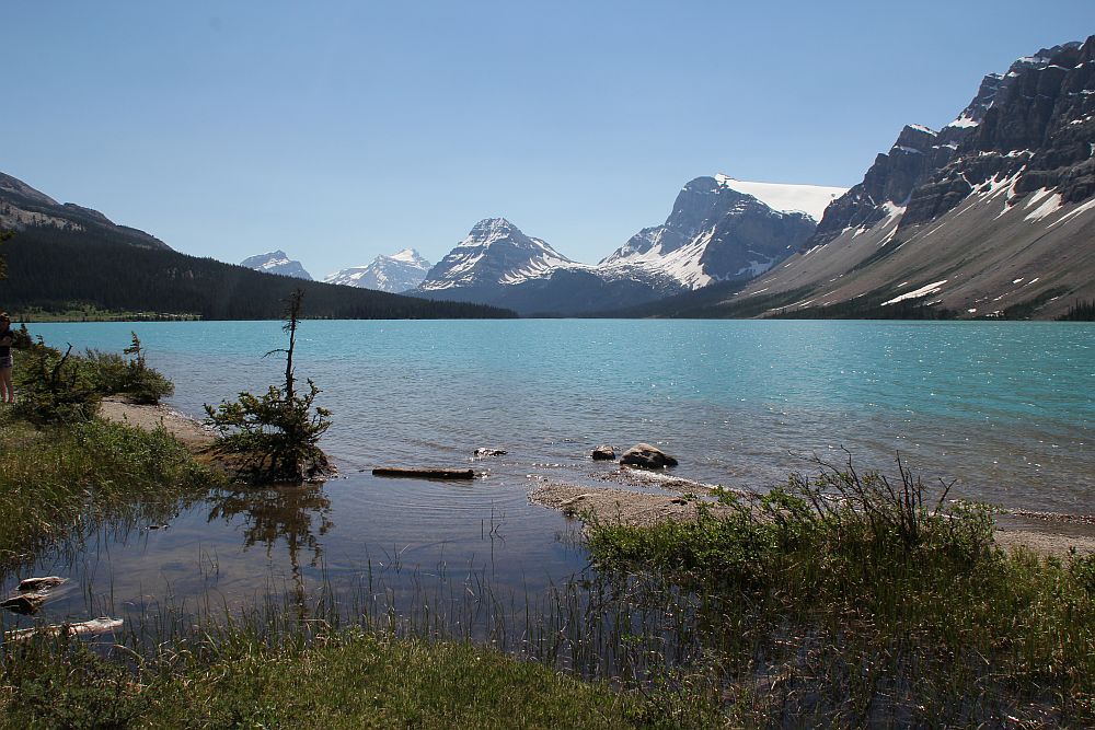 Bow Lake am Icefield Parkway