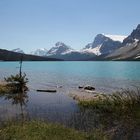 Bow Lake am Icefield Parkway