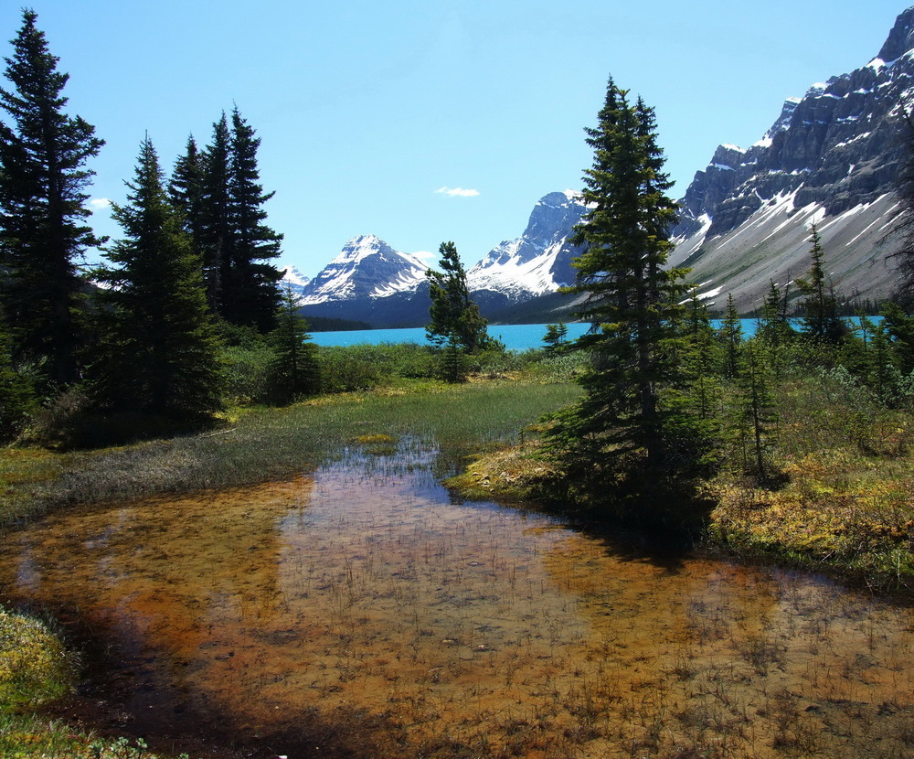 bow lake