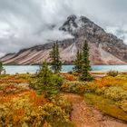 Bow Lake im Herbst