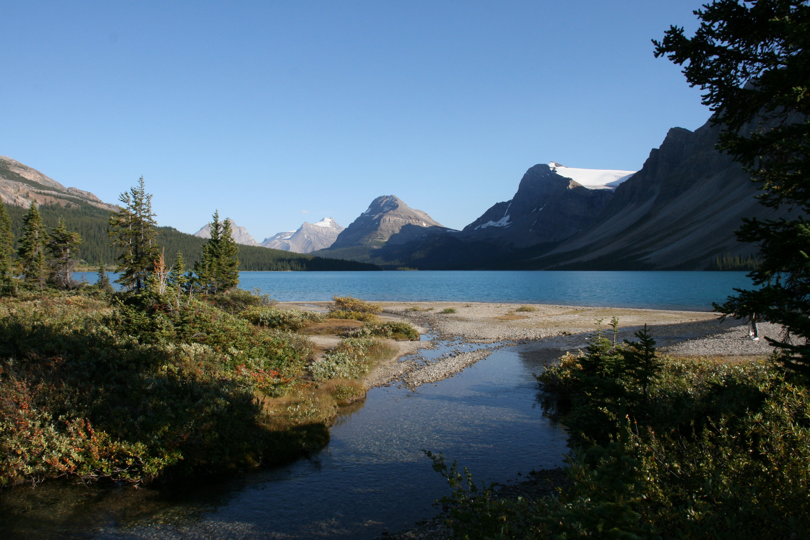 "Bow Lake" in Alberta