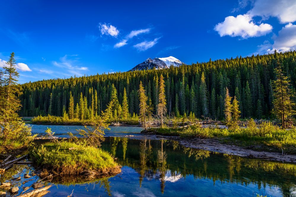 Bow River, Banff NP, CA