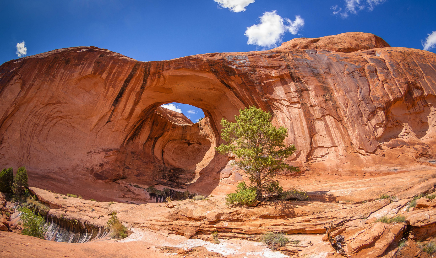 Bow Tie Arch