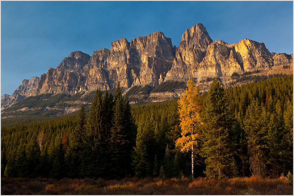 Bow Valley