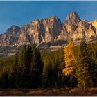 Bow Valley