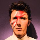 bowiefake