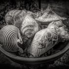 Bowl of Shells