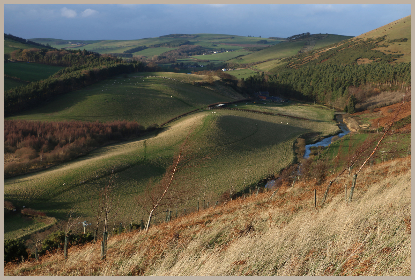 bowmont water from crookhouse 9