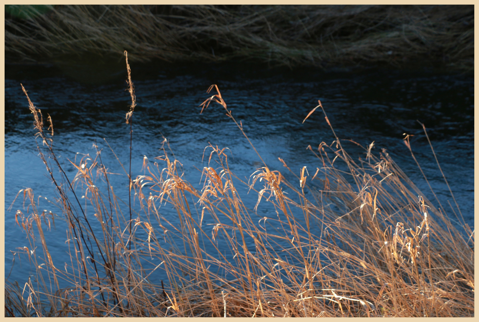 Bowmont Water near Mindrum