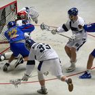 Box Lacrosse EM in Hannover