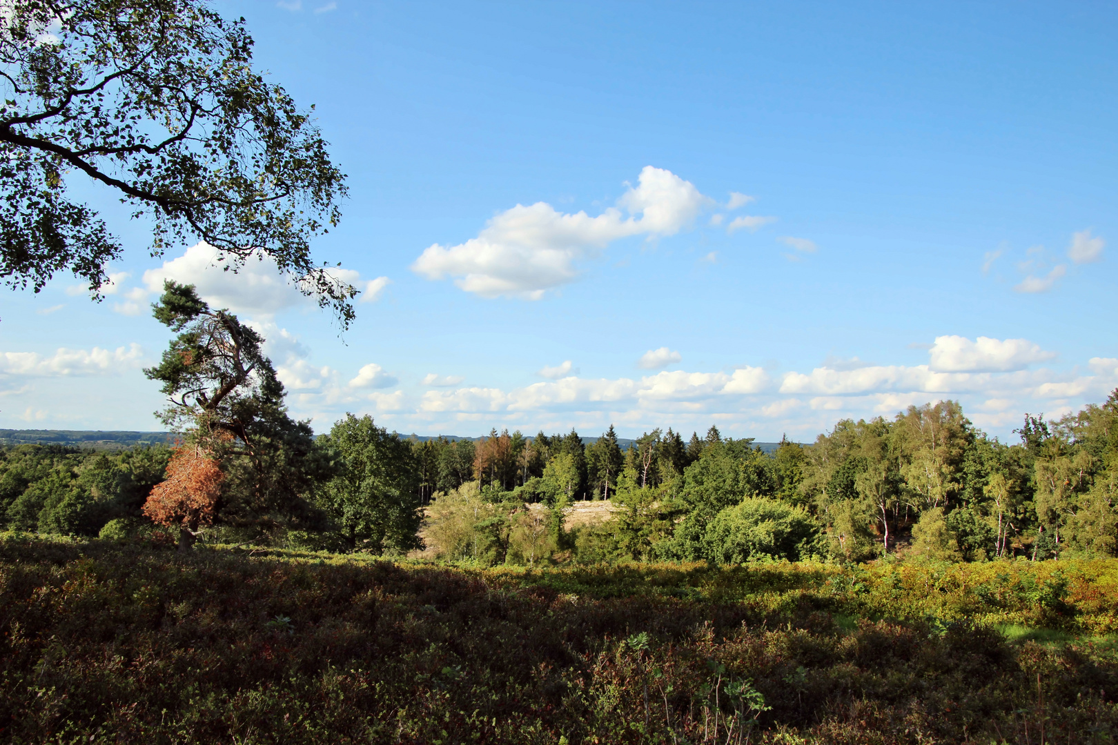 Boxberg (Aukrug)