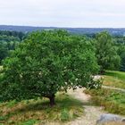 Boxberg (Aukrug)