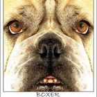 ::Boxer ::