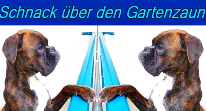 Boxer beim Schnack über dem Gartenzaun