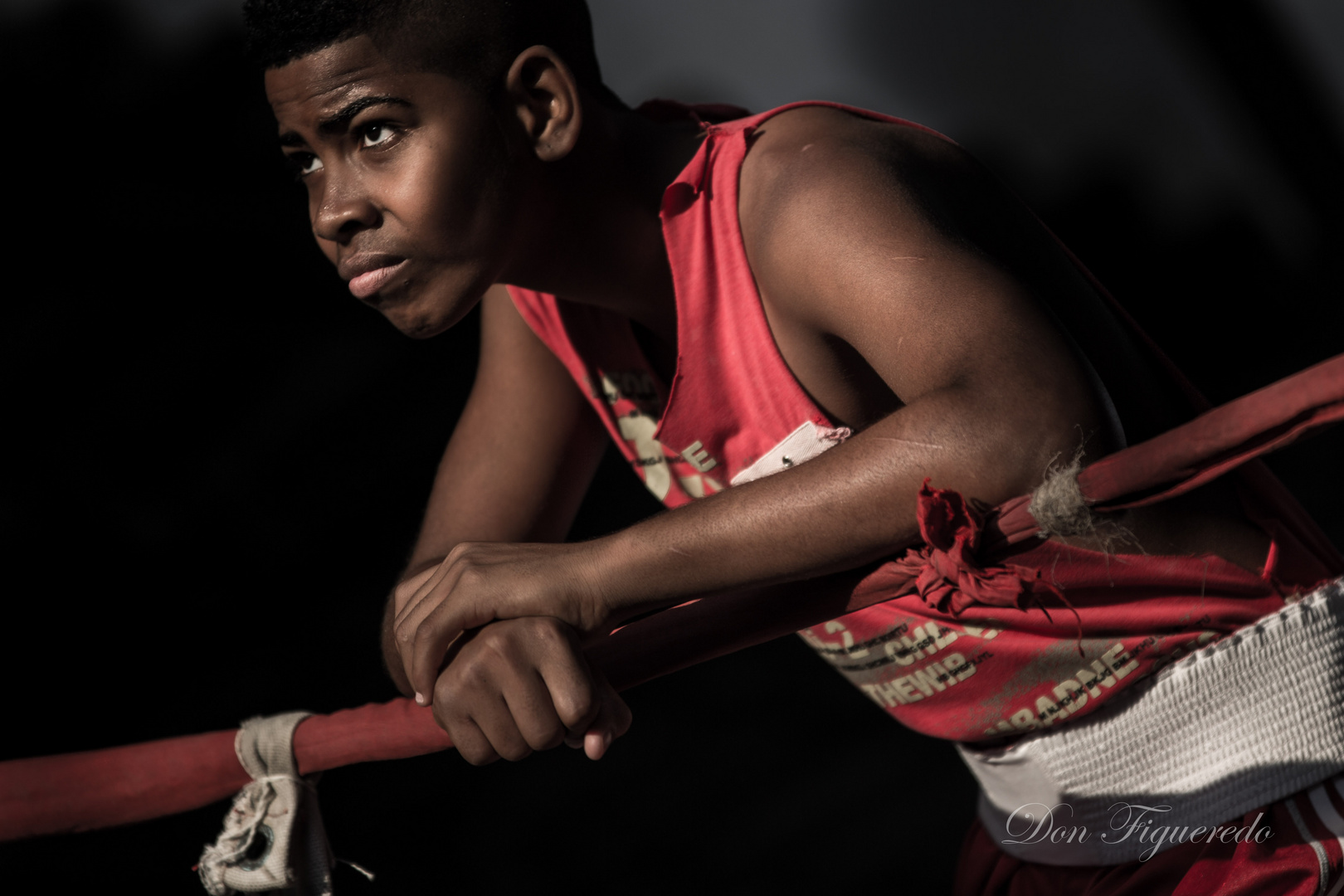 Boxer in red