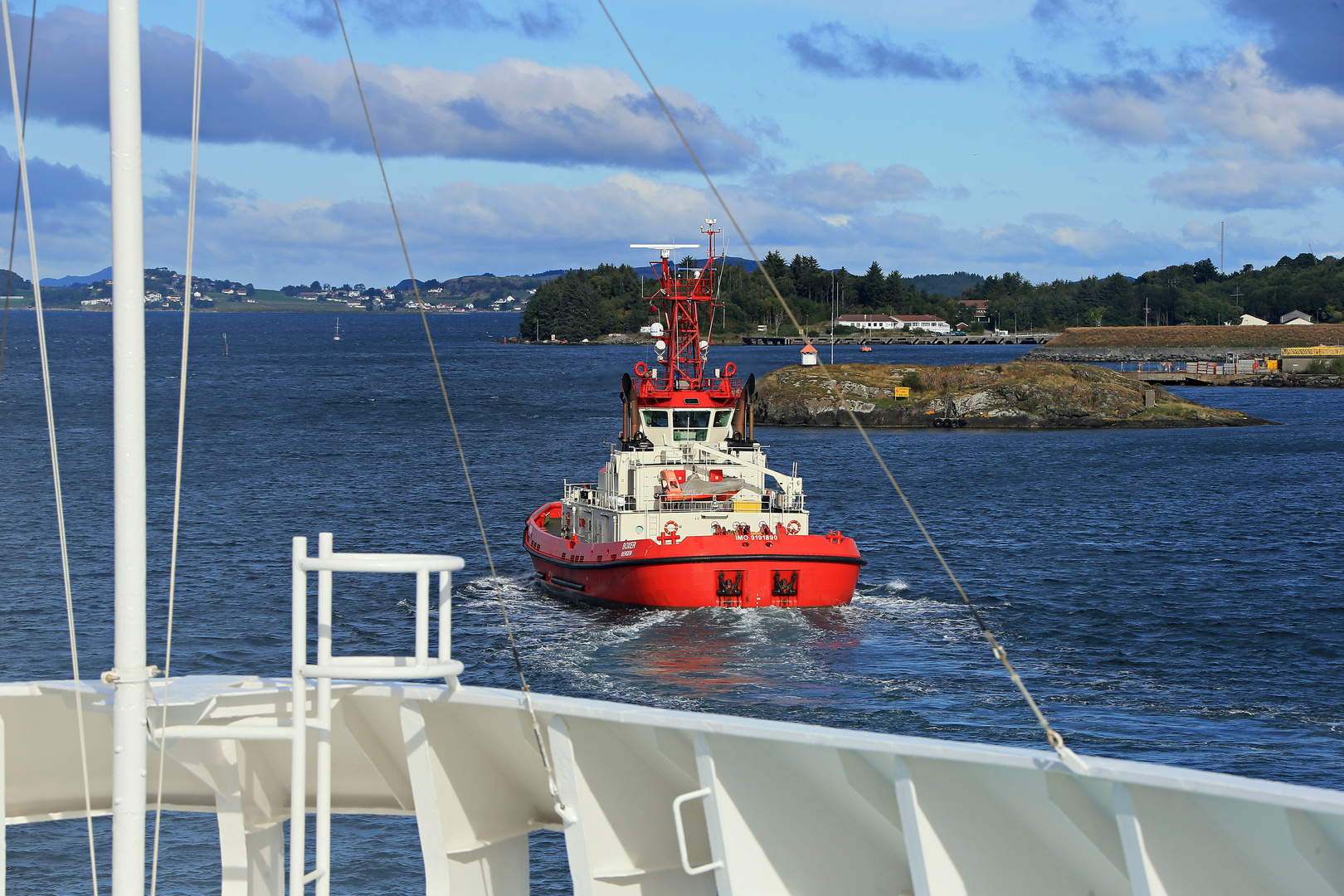 Boxer - Norwegen - Stavanger 