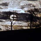 Boxkampf Sonne gegen Regenwolken