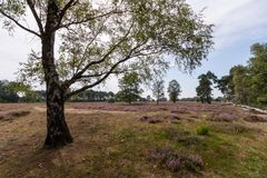 Boxtel/Roond - Kampina - 07