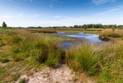 Boxtel/Roond - Kampina - 14