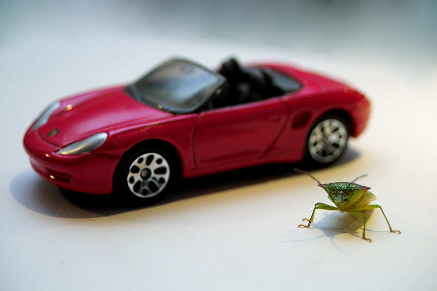 Boxter vs. New Beetle