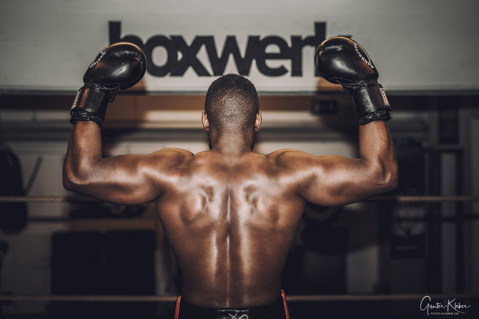 Boxwerk - Boxer: Mandela Osborn