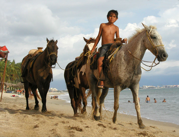 Boy and Horses 1