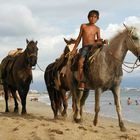 Boy and Horses 1