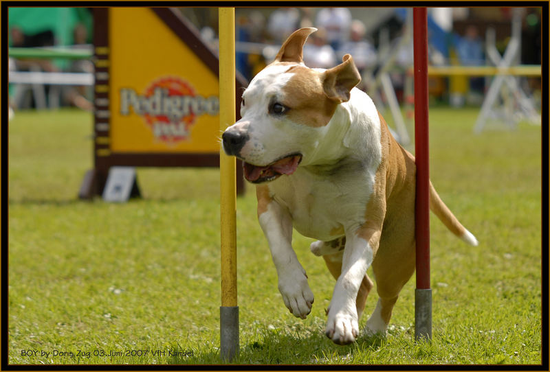 Boy beim Slalom