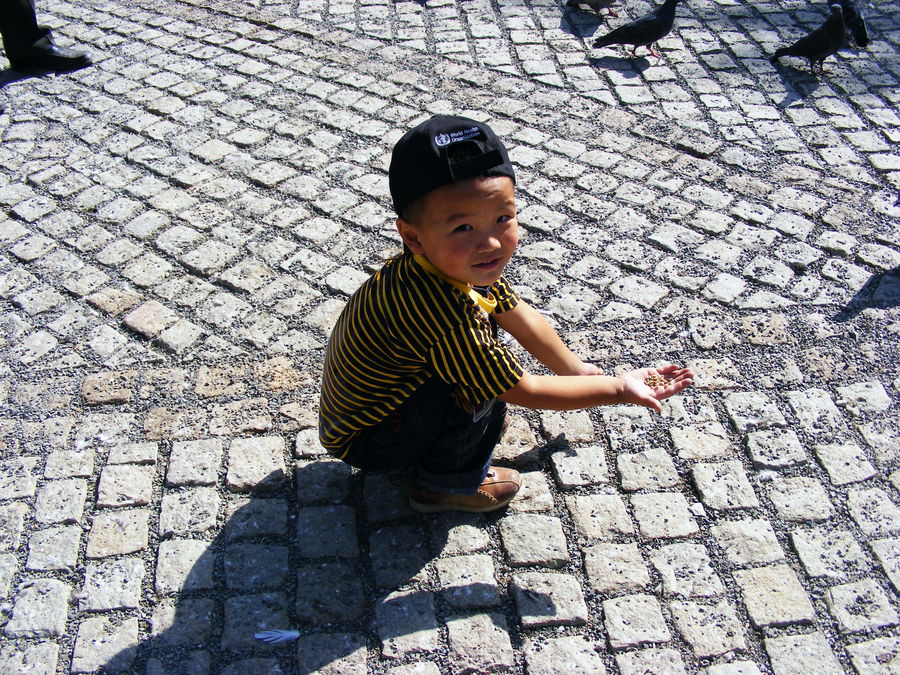 boy feeding birds