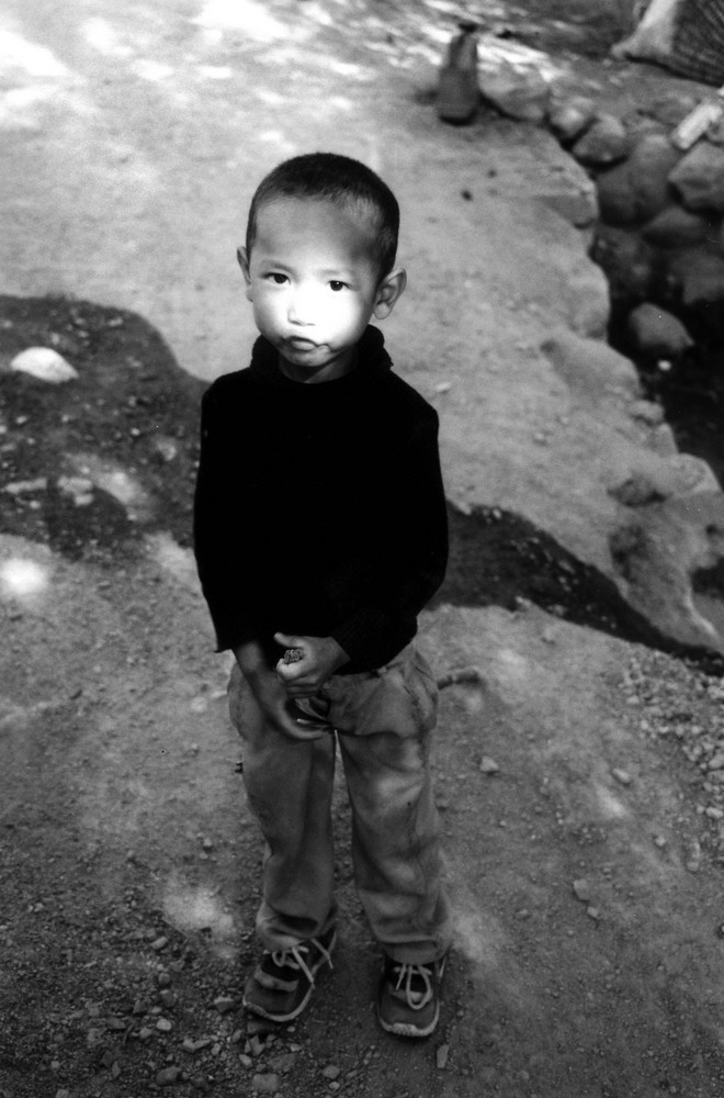 Boy, Ladakh